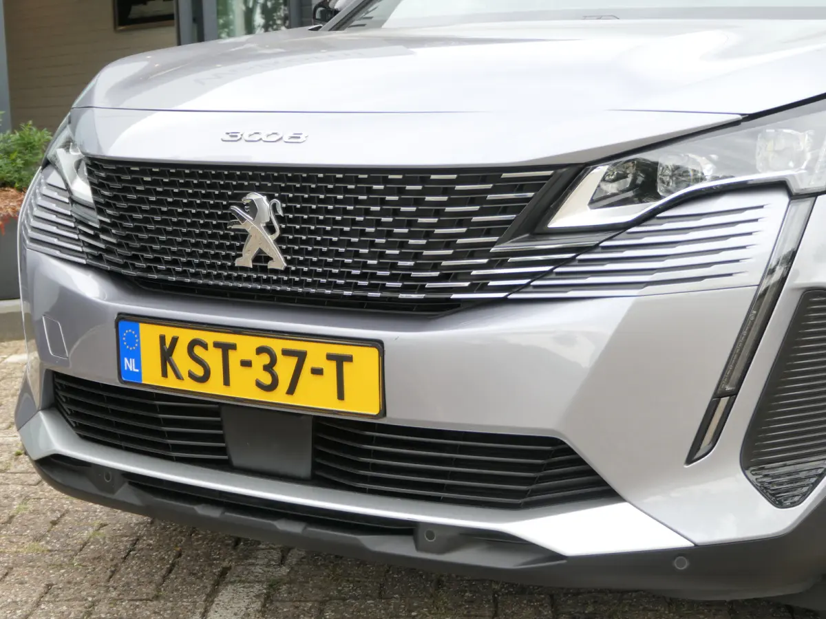 1.6 Plug in Hybrid 225pk GT | Panoramadak