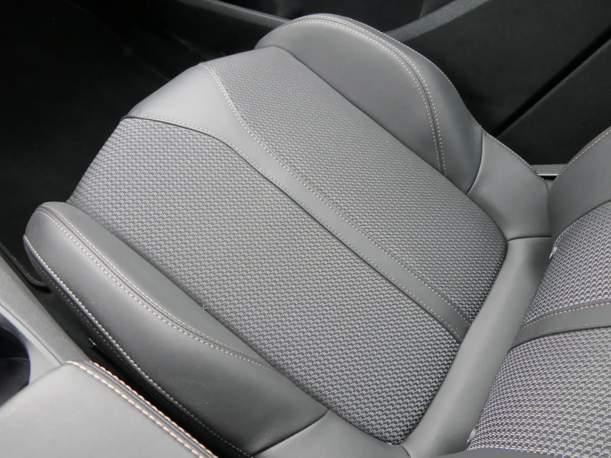 1.6 Plug in Hybrid 225pk GT | Panoramadak