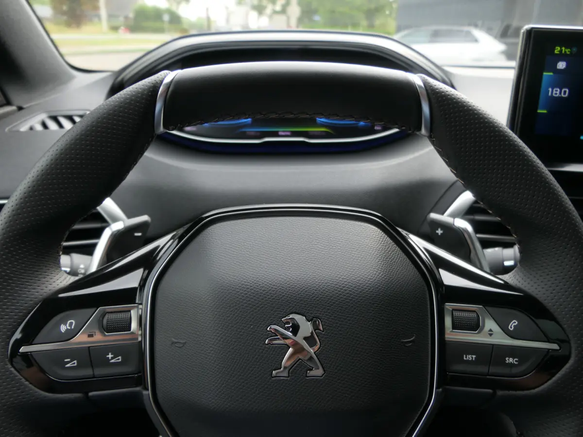 1.6 Plug in Hybrid 225pk GT | Panoramadak