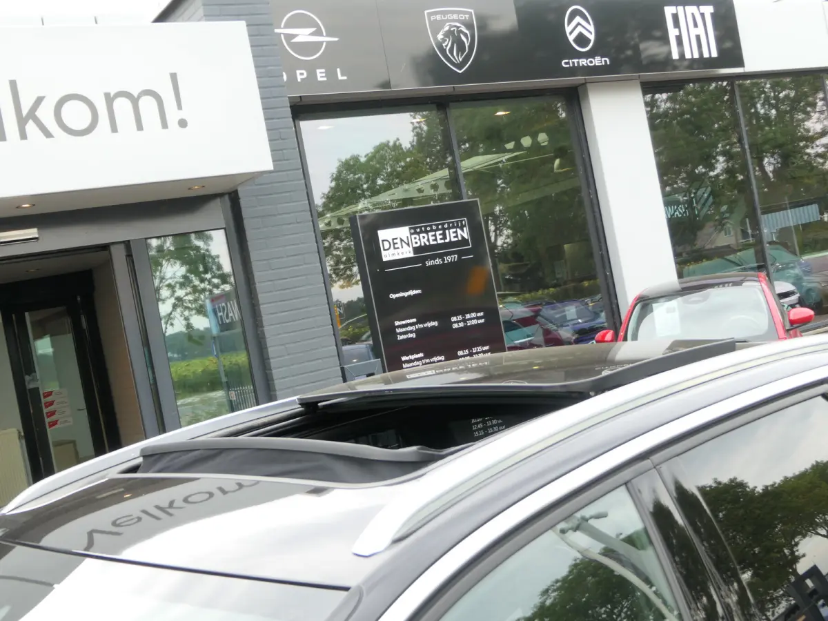 1.6 Plug in Hybrid 225pk GT | Panoramadak