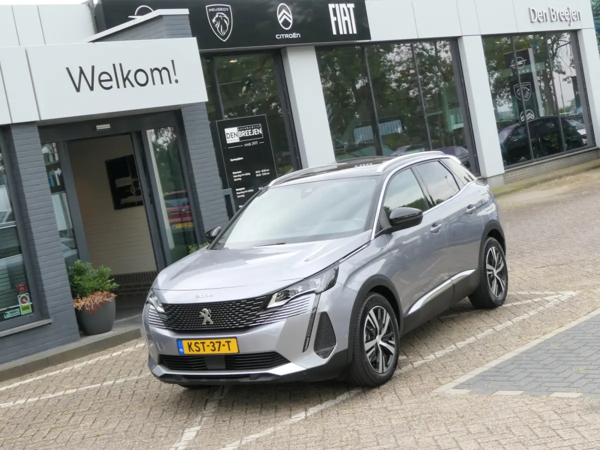 1.6 Plug in Hybrid 225pk GT | Panoramadak