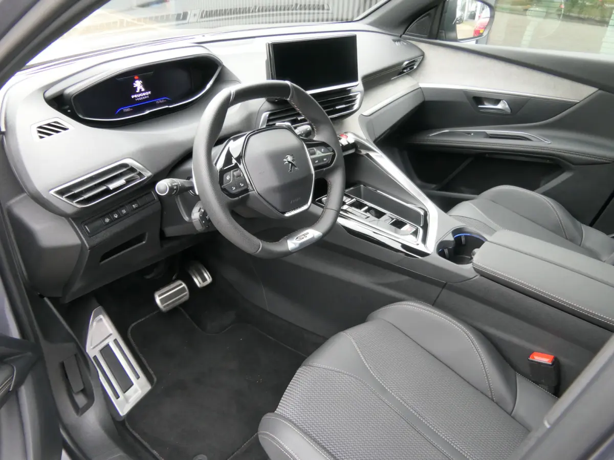 1.6 Plug in Hybrid 225pk GT | Panoramadak