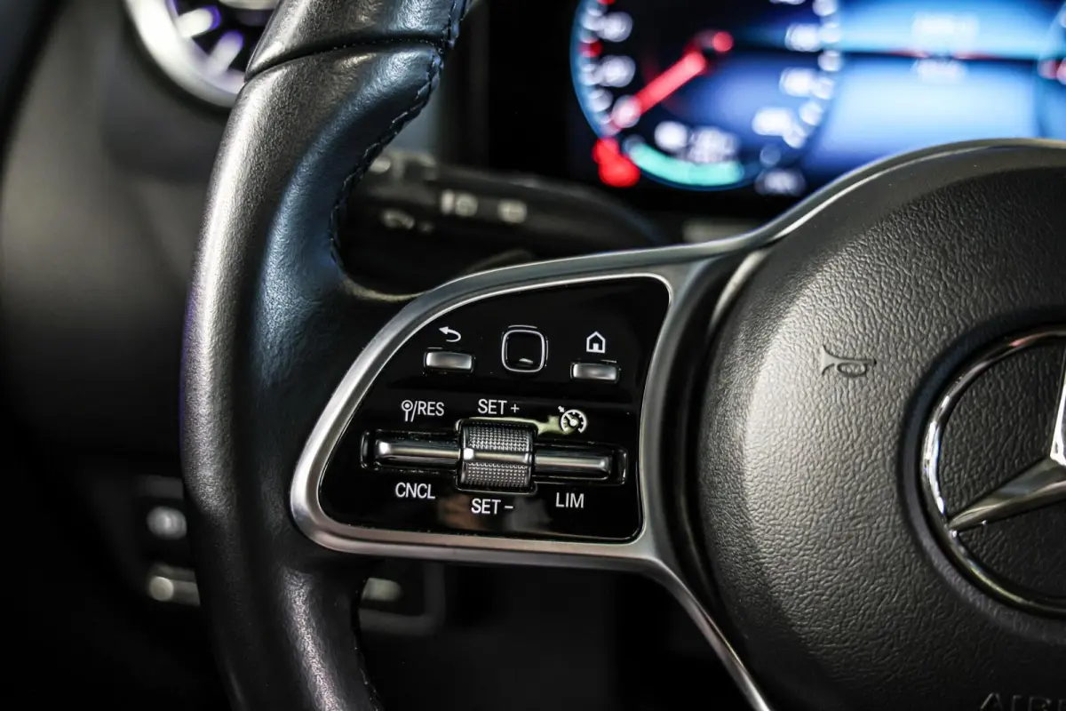 250 Business Solution Luxury 67 kWh SOH 97% CAMERA PANO LEER CARPLAY NAVI ECC.