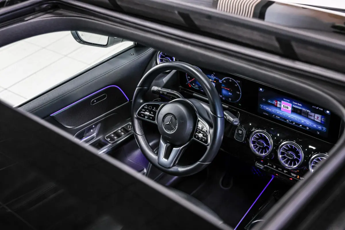 250 Business Solution Luxury 67 kWh SOH 97% CAMERA PANO LEER CARPLAY NAVI ECC.