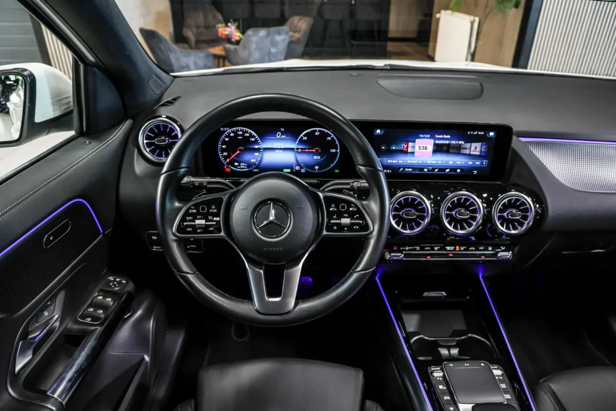 250 Business Solution Luxury 67 kWh SOH 97% CAMERA PANO LEER CARPLAY NAVI ECC.