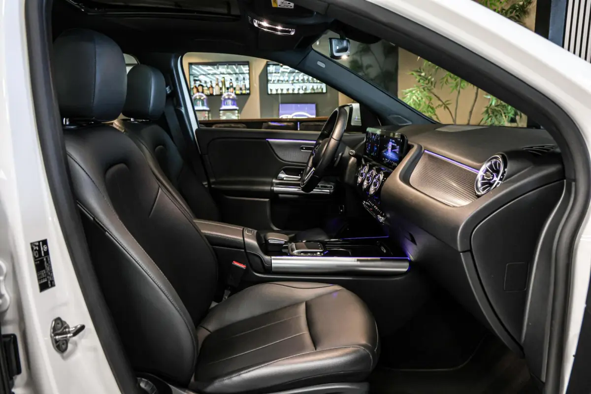 250 Business Solution Luxury 67 kWh SOH 97% CAMERA PANO LEER CARPLAY NAVI ECC.