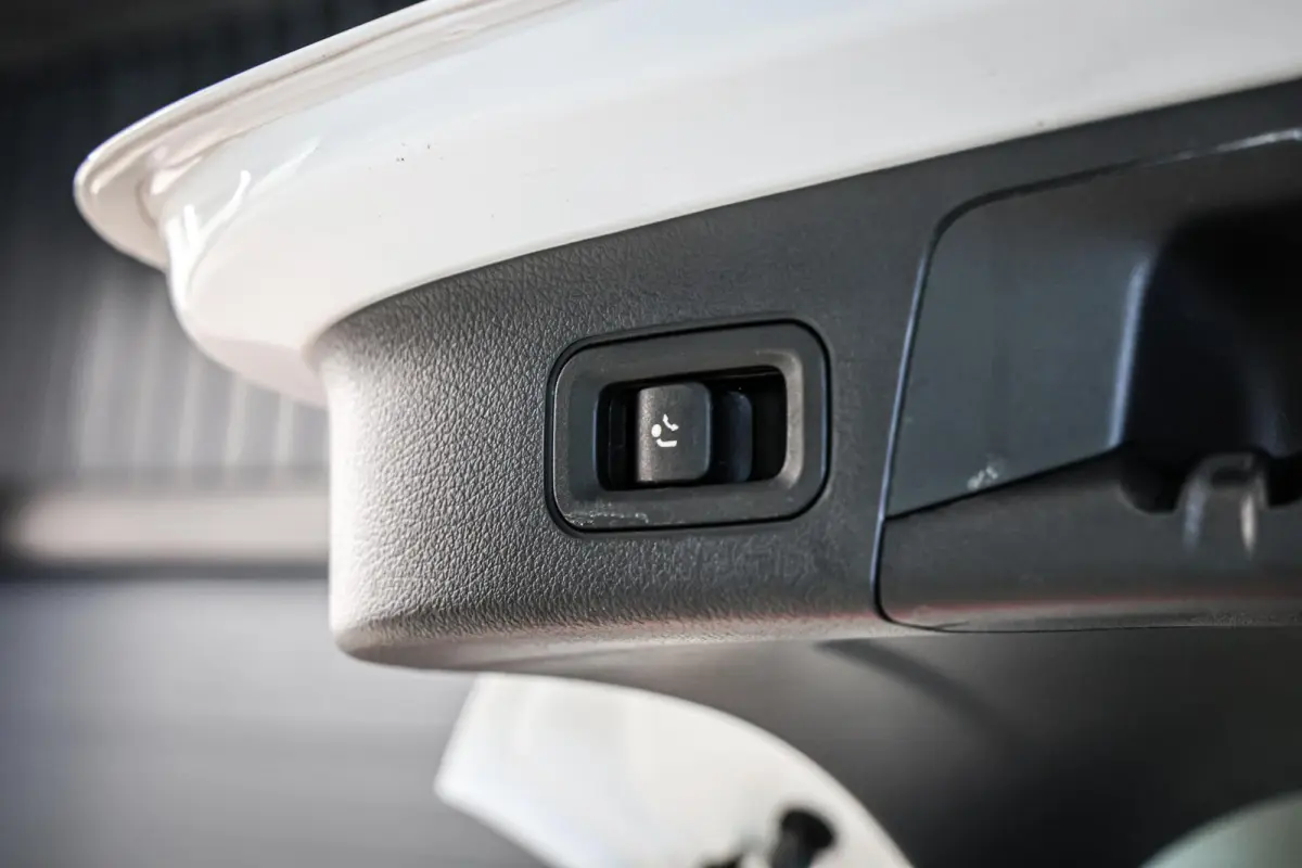 250 Business Solution Luxury 67 kWh SOH 97% CAMERA PANO LEER CARPLAY NAVI ECC.