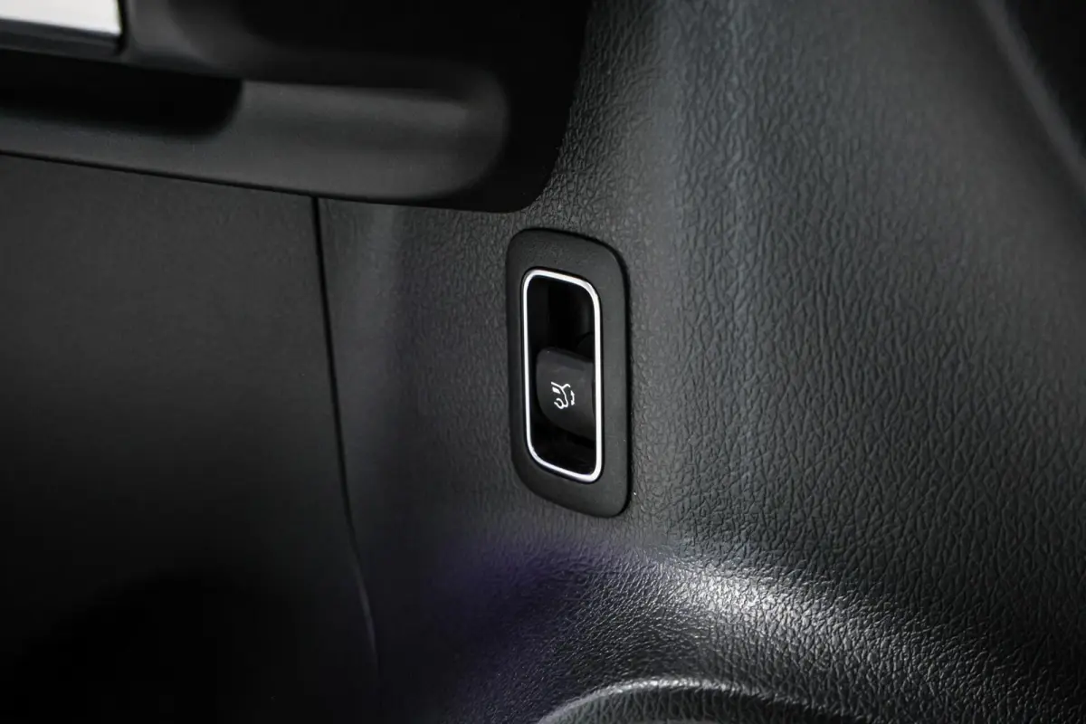 250 Business Solution Luxury 67 kWh SOH 97% CAMERA PANO LEER CARPLAY NAVI ECC.