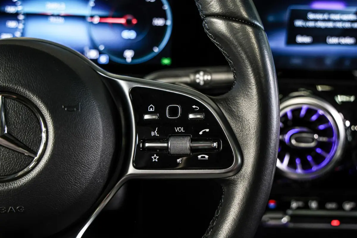 250 Business Solution Luxury 67 kWh SOH 97% CAMERA PANO LEER CARPLAY NAVI ECC.