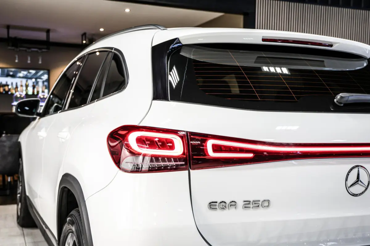250 Business Solution Luxury 67 kWh SOH 97% CAMERA PANO LEER CARPLAY NAVI ECC.