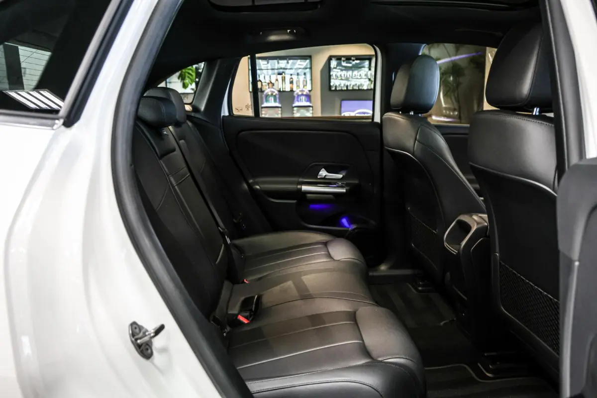 250 Business Solution Luxury 67 kWh SOH 97% CAMERA PANO LEER CARPLAY NAVI ECC.