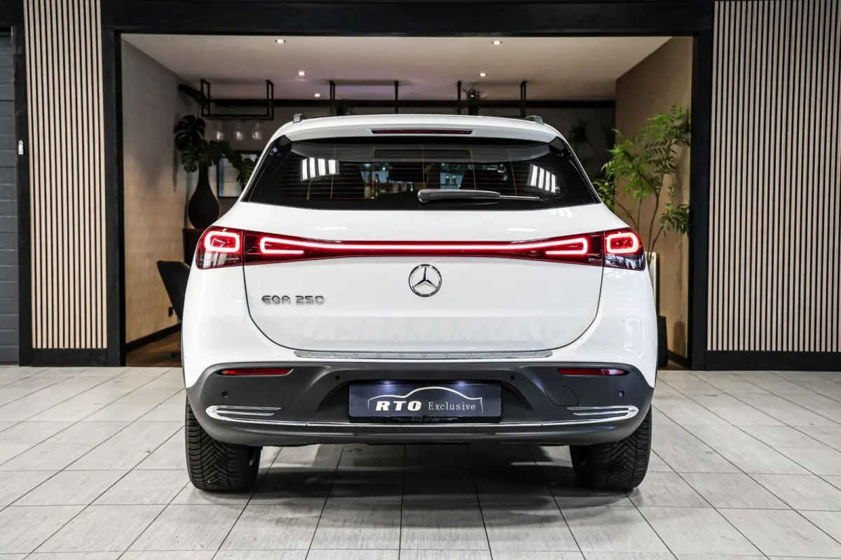 250 Business Solution Luxury 67 kWh SOH 97% CAMERA PANO LEER CARPLAY NAVI ECC.