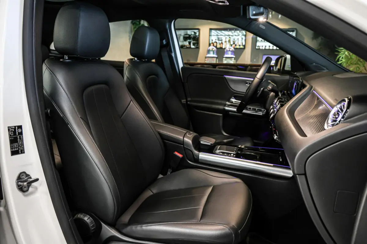 250 Business Solution Luxury 67 kWh SOH 97% CAMERA PANO LEER CARPLAY NAVI ECC.
