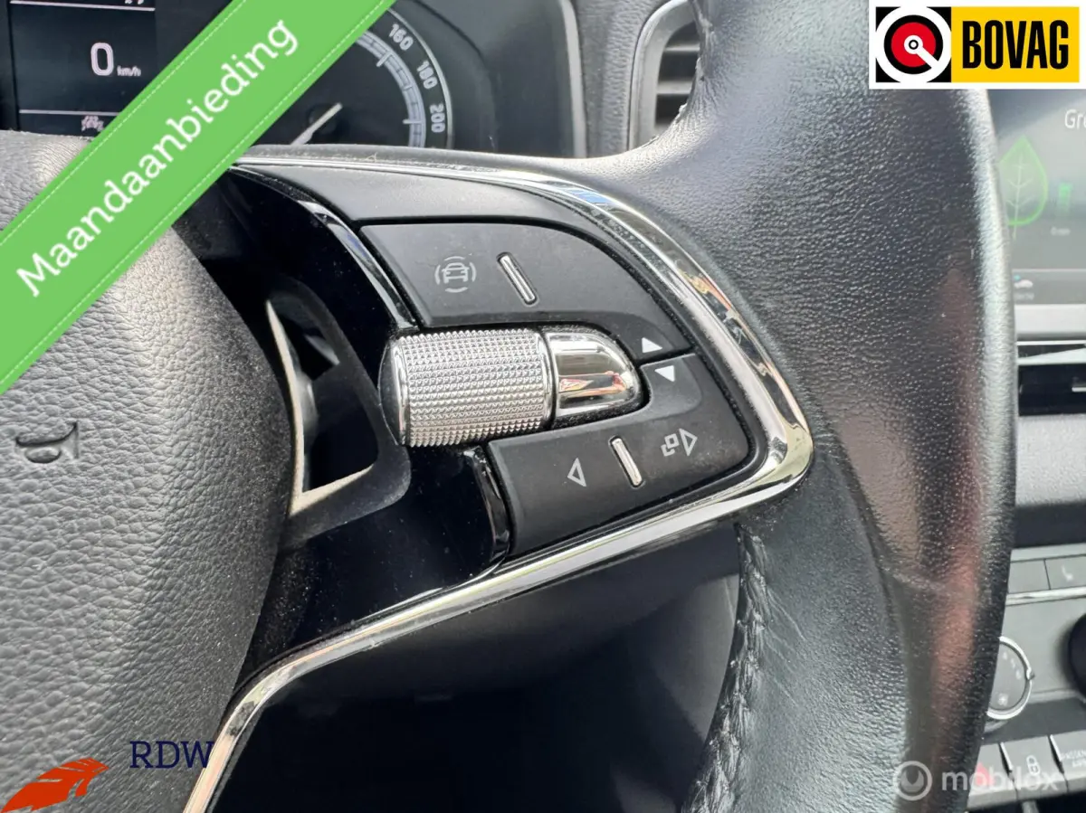 1.0 TSI Business Edition Plus STOELVERW/TREKHAAK