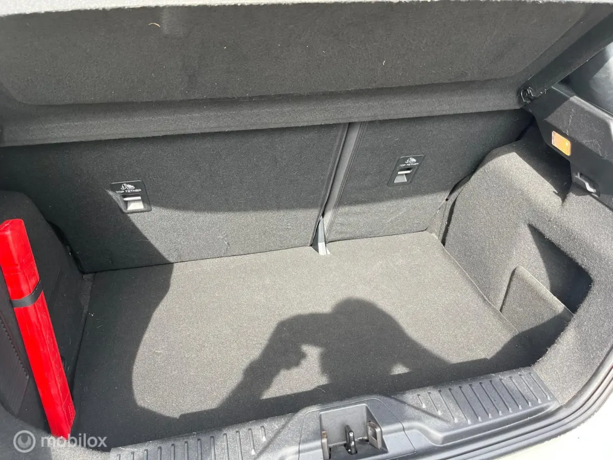 1.0 EcoBoost Active / B&O / APPLE CARPLAY