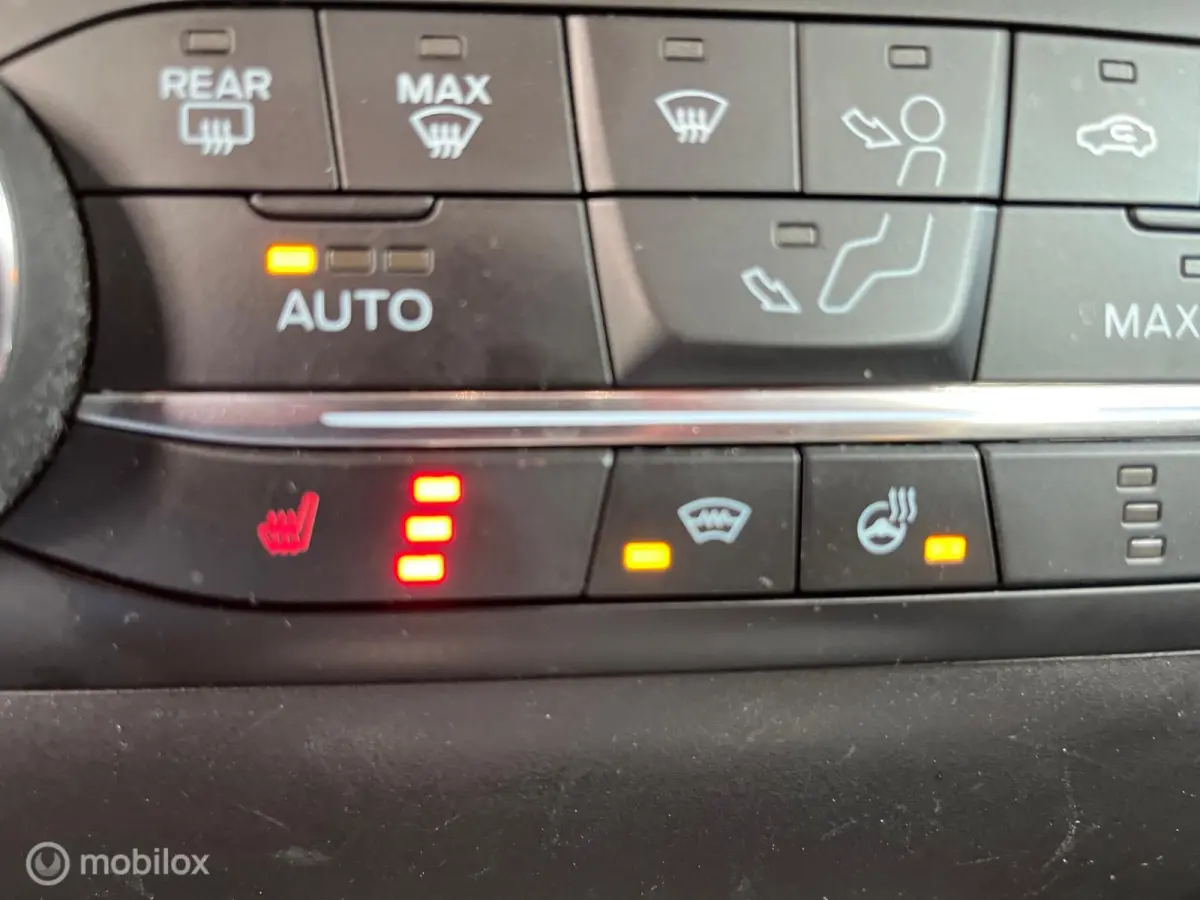 1.0 EcoBoost Active / B&O / APPLE CARPLAY