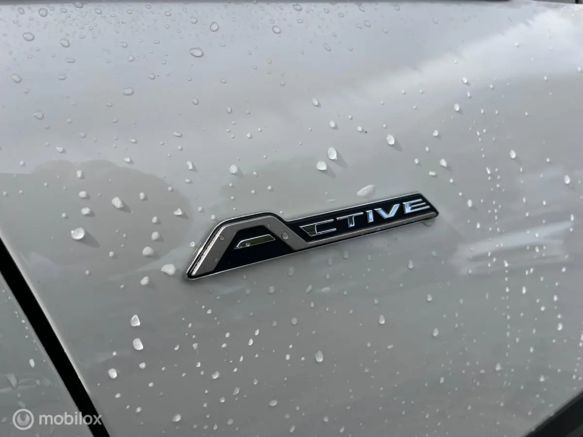 1.0 EcoBoost Active / B&O / APPLE CARPLAY