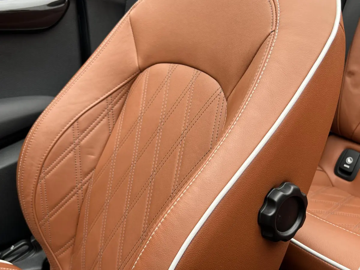 2.0 S Chili Serious Business | Leder/Cruise Adaptief/Keyless