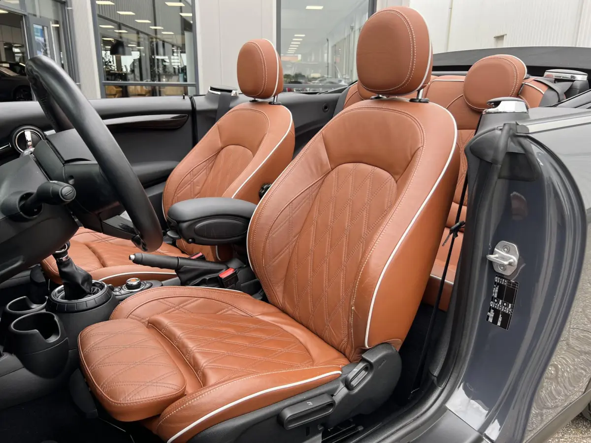 2.0 S Chili Serious Business | Leder/Cruise Adaptief/Keyless