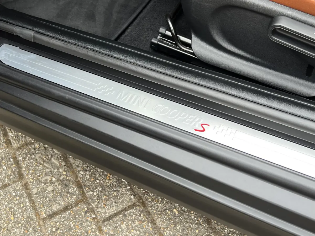 2.0 S Chili Serious Business | Leder/Cruise Adaptief/Keyless