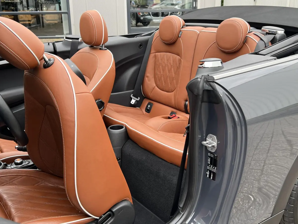 2.0 S Chili Serious Business | Leder/Cruise Adaptief/Keyless