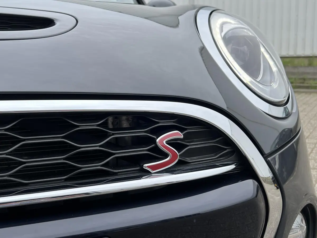 2.0 S Chili Serious Business | Leder/Cruise Adaptief/Keyless