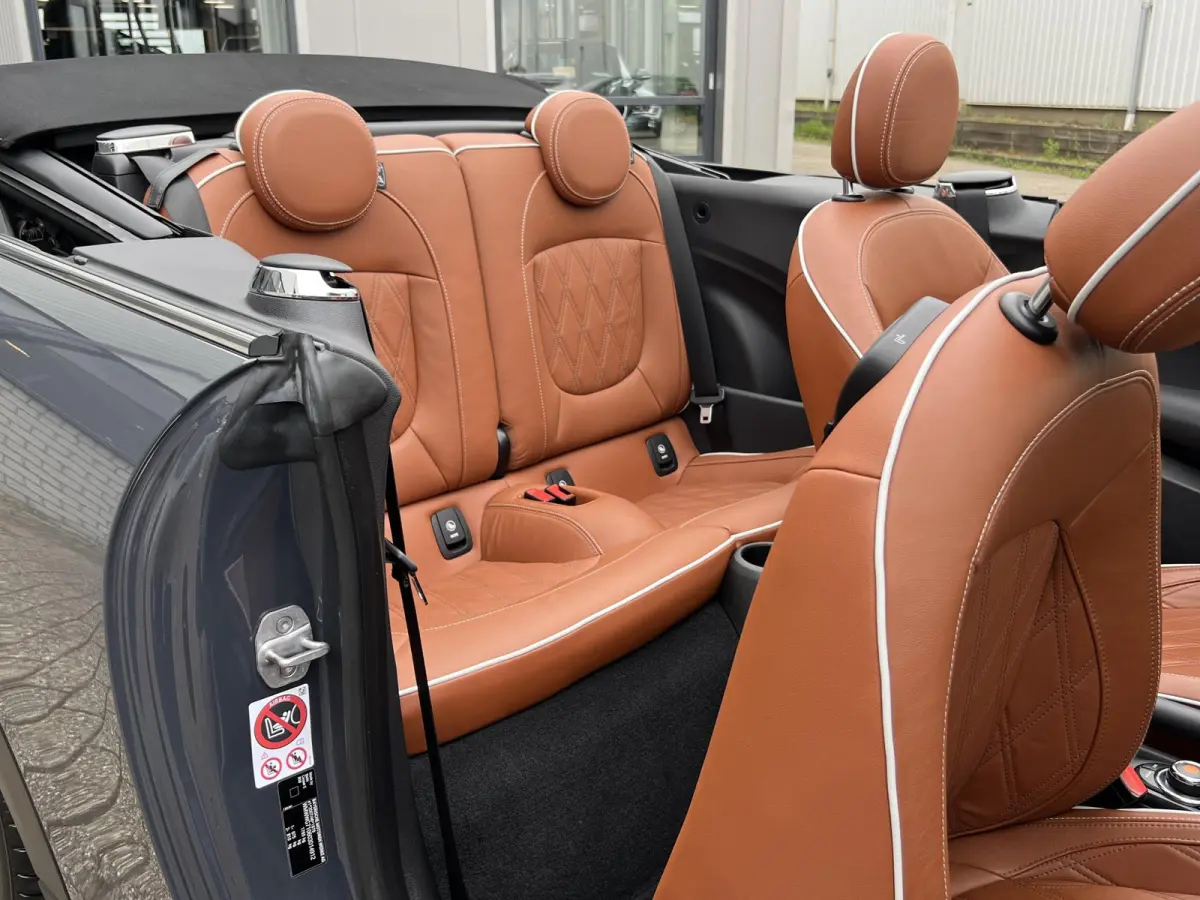 2.0 S Chili Serious Business | Leder/Cruise Adaptief/Keyless