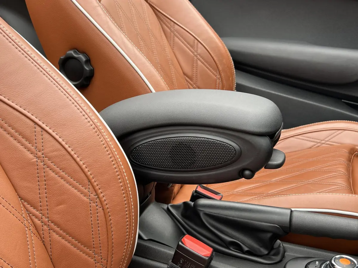 2.0 S Chili Serious Business | Leder/Cruise Adaptief/Keyless