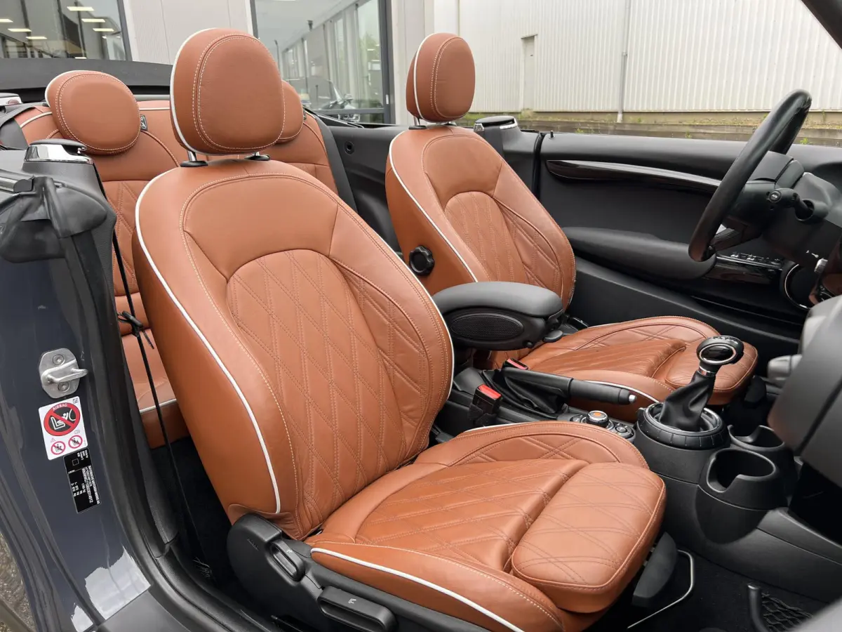 2.0 S Chili Serious Business | Leder/Cruise Adaptief/Keyless
