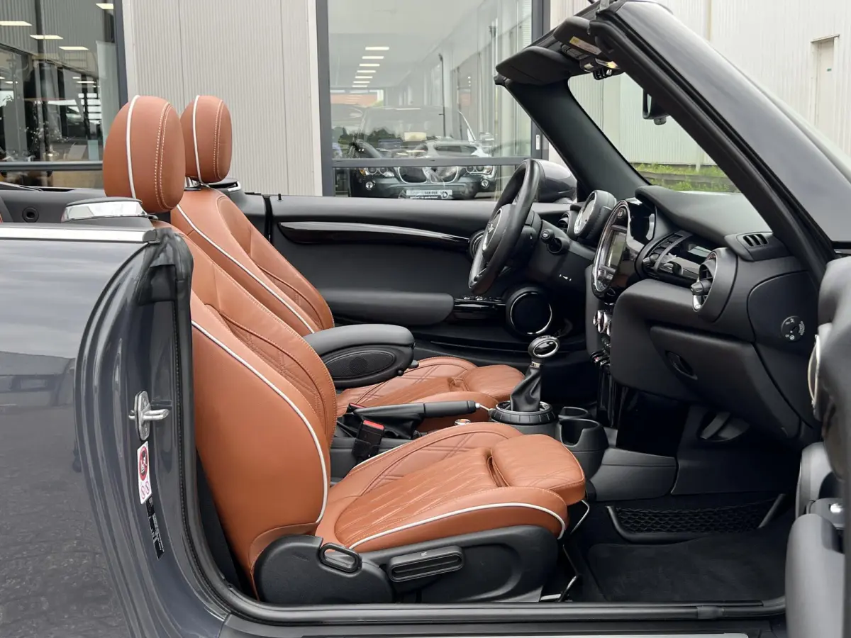 2.0 S Chili Serious Business | Leder/Cruise Adaptief/Keyless
