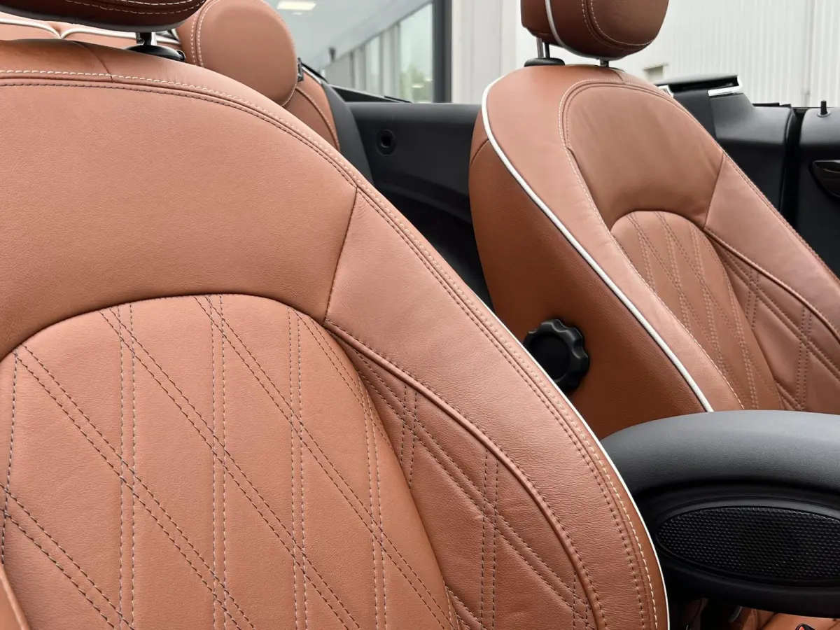 2.0 S Chili Serious Business | Leder/Cruise Adaptief/Keyless