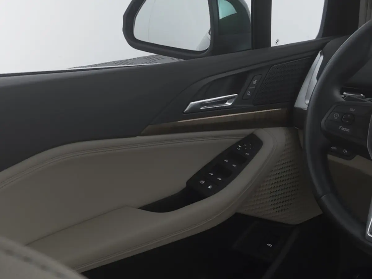 225 xDrive Luxury Line | LEDER | CAMERA | NAVI | ECC | PHEV | Sanremo Grün Metallic !