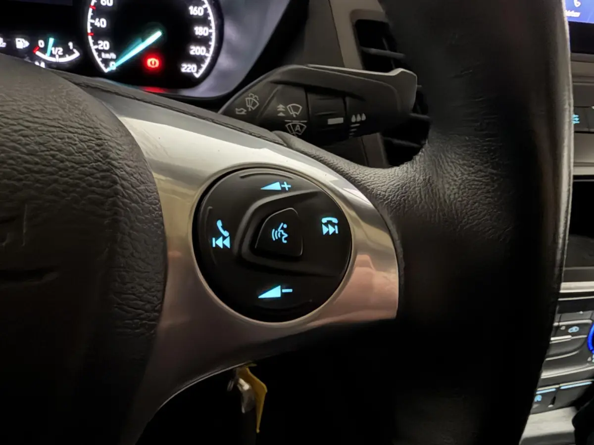 1.5 EcoBlue L2 Trend Automaat