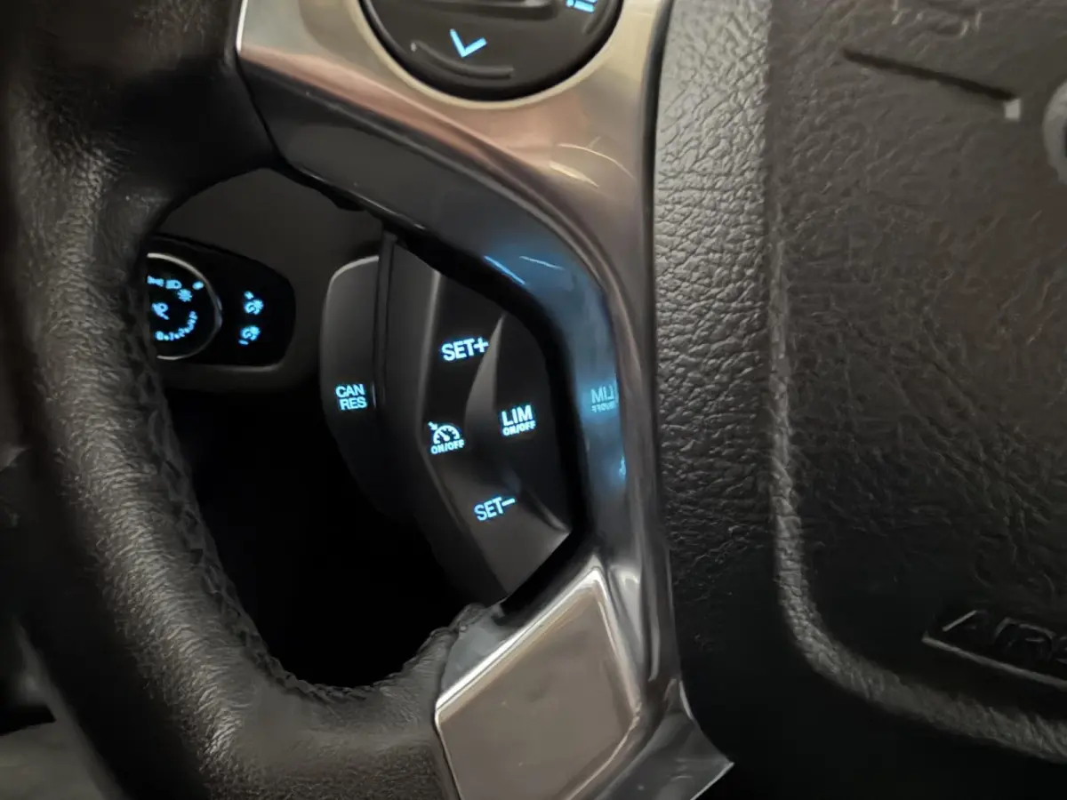 1.5 EcoBlue L2 Trend Automaat