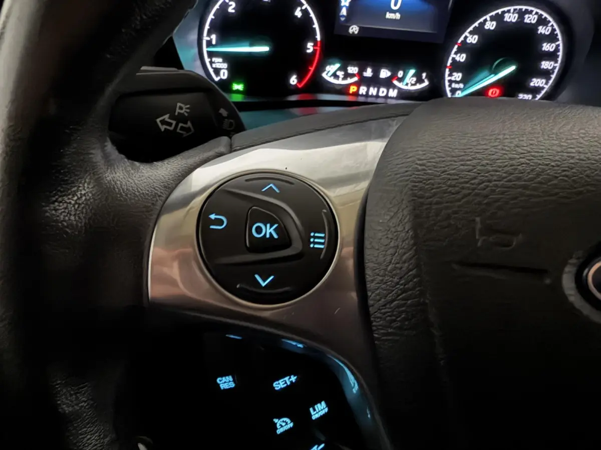 1.5 EcoBlue L2 Trend Automaat