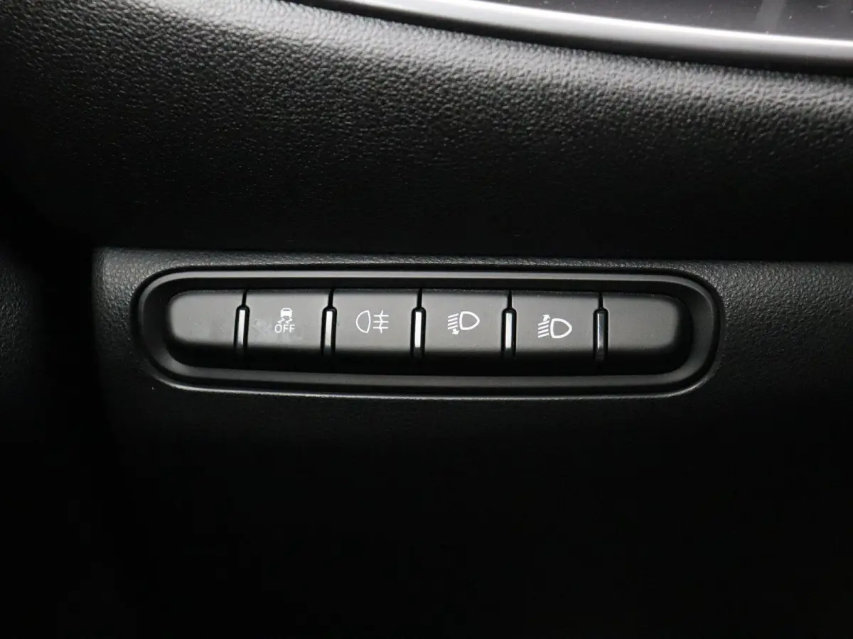Icon 42 kWh | 93% accu score | 320km WLTP | 85KWh Snelladen | Cruise control | Apple Carplay | Android Auto |