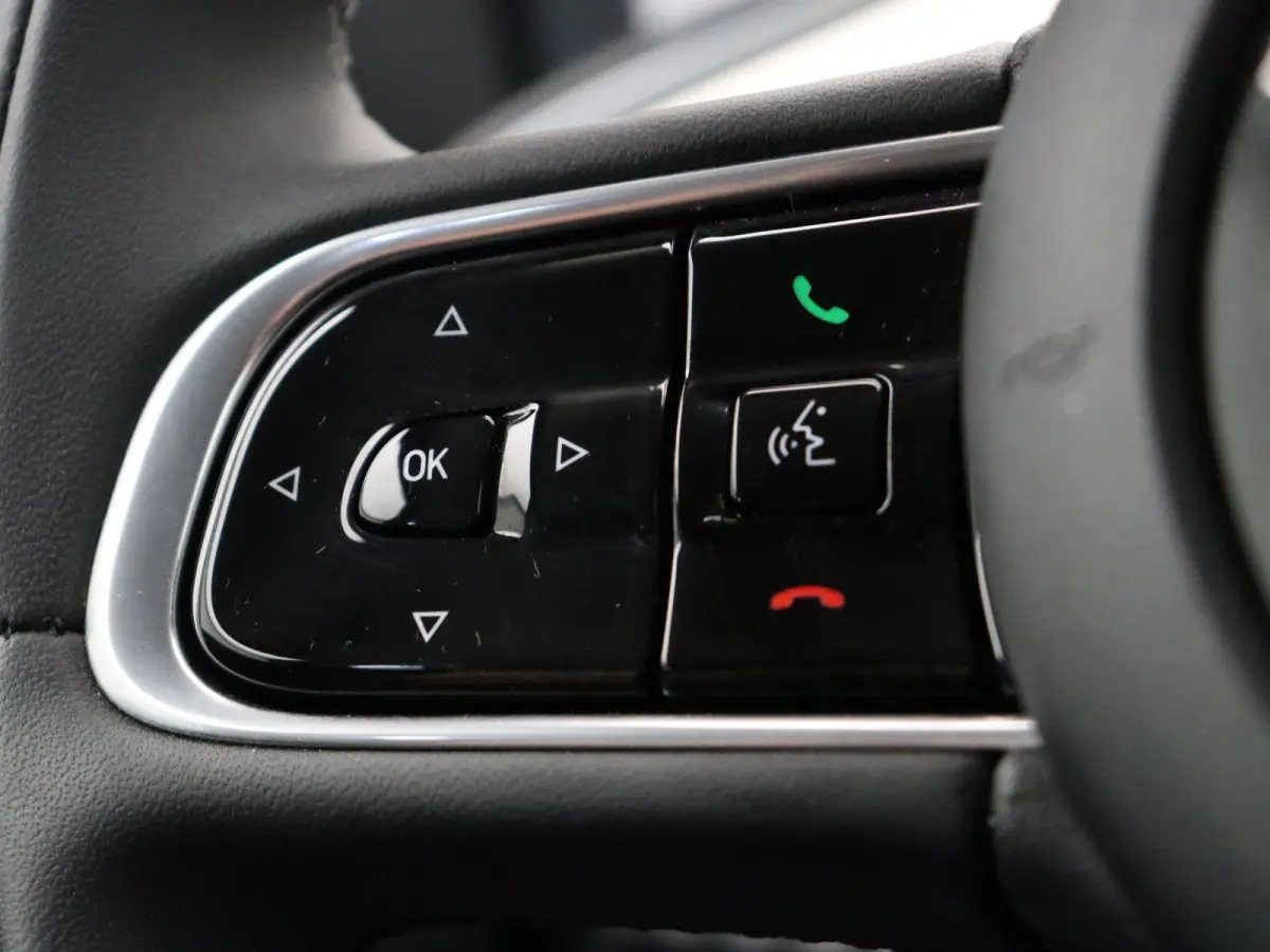 Icon 42 kWh | 93% accu score | 320km WLTP | 85KWh Snelladen | Cruise control | Apple Carplay | Android Auto |