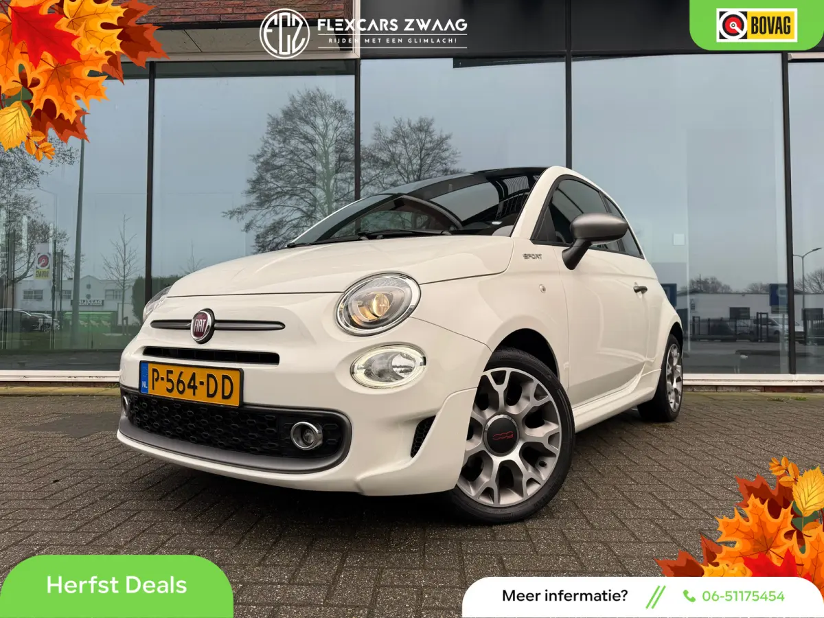 1.0 Hybrid Sport - Navi Apple/Android - Panoramadak - Climate - Org.NL