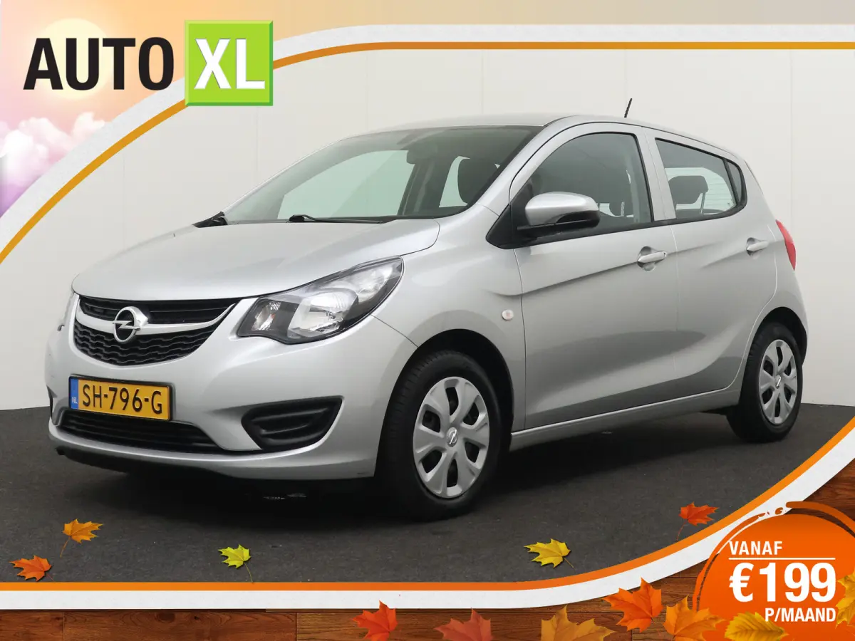 1.0 ecoFLEX Edition Cruise Airco Bluetooth