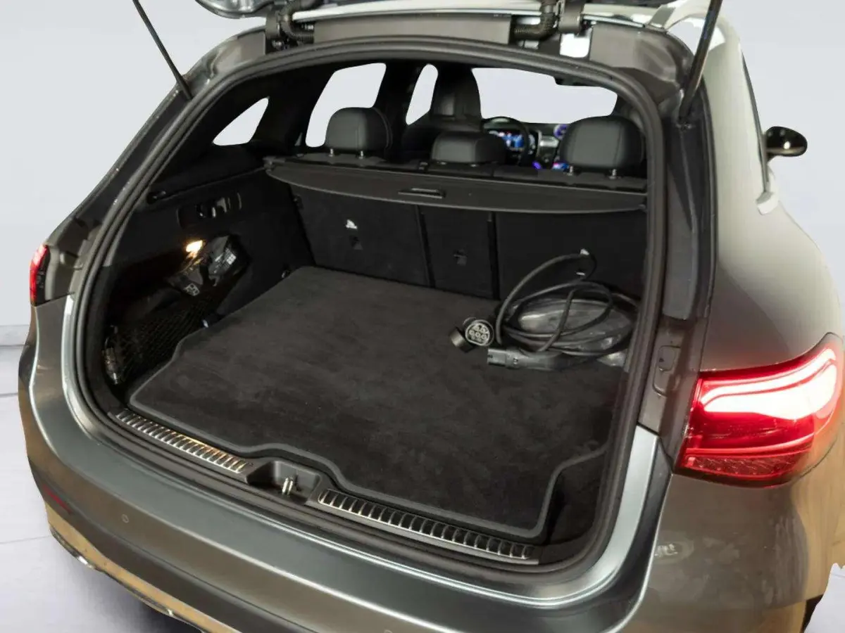4MATIC Business Solution AMG | Panorama dak