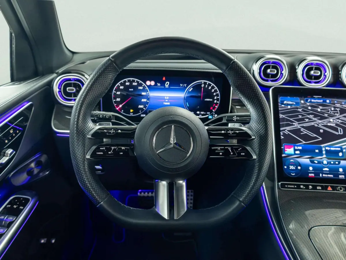 4MATIC Business Solution AMG | Panorama dak