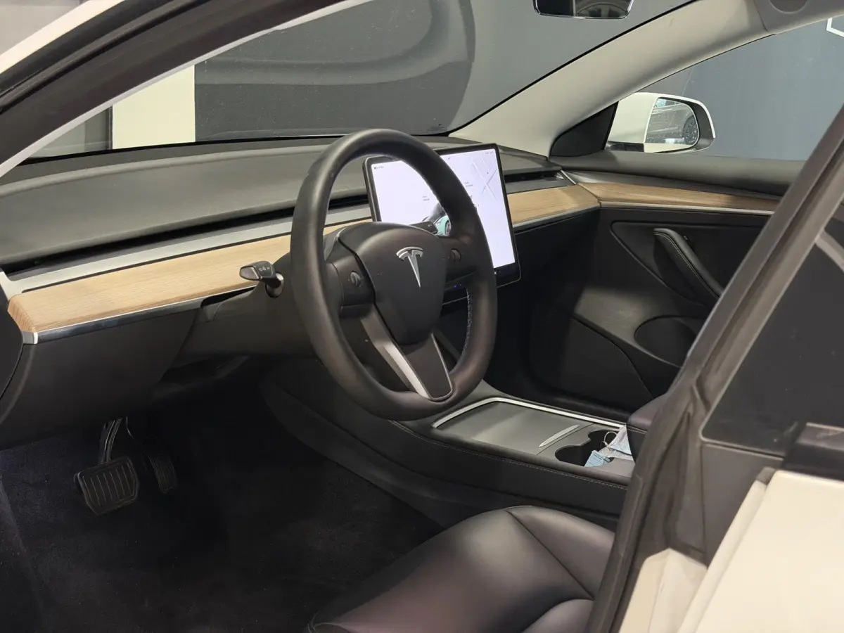 Long Range AWD 75 kWh | Trekhaak | SOH 95% |