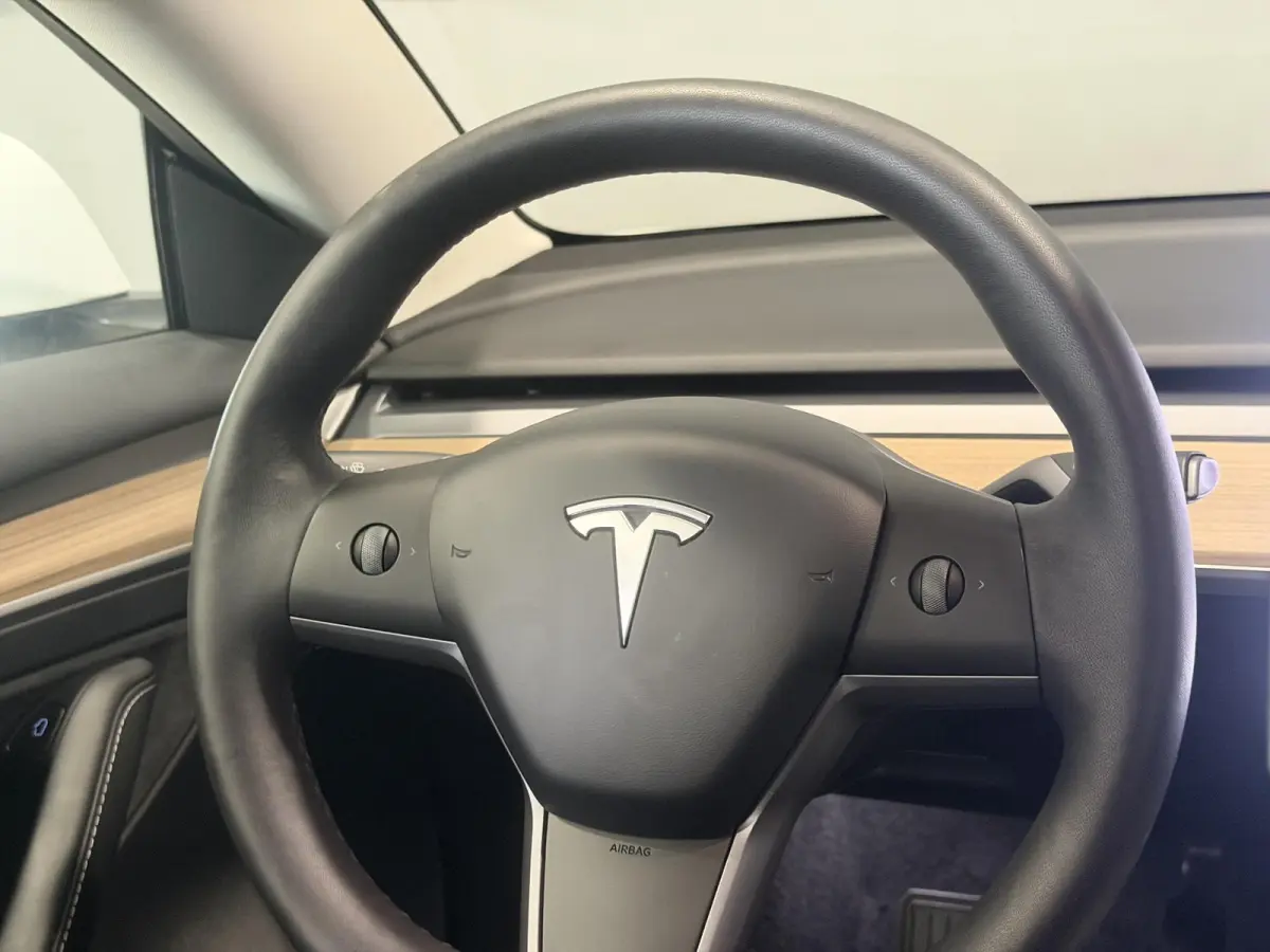 Long Range AWD 75 kWh | Trekhaak | SOH 95% |