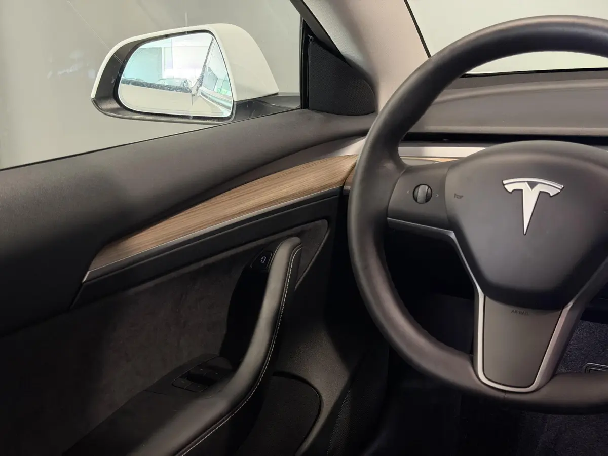 Long Range AWD 75 kWh | Trekhaak | SOH 95% |