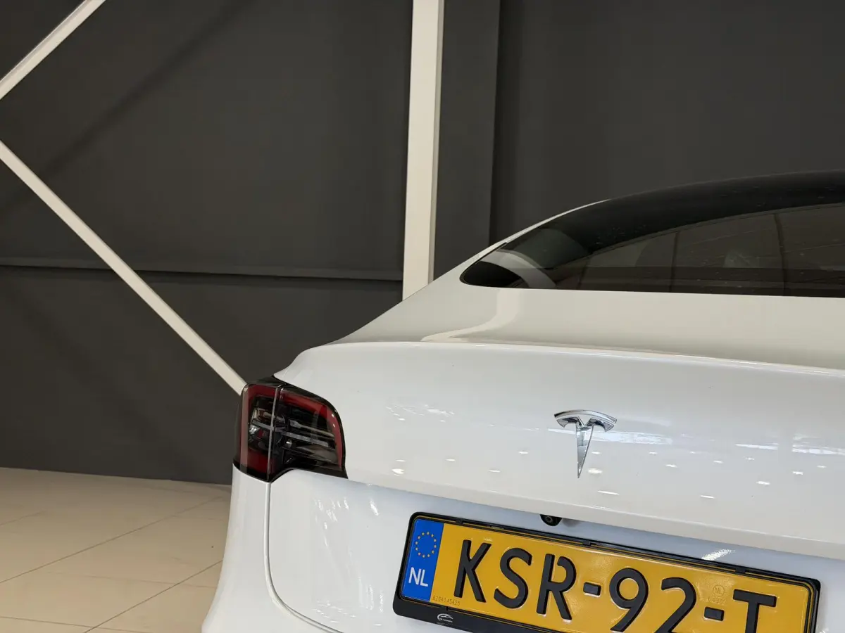Long Range AWD 75 kWh | Trekhaak | SOH 95% |