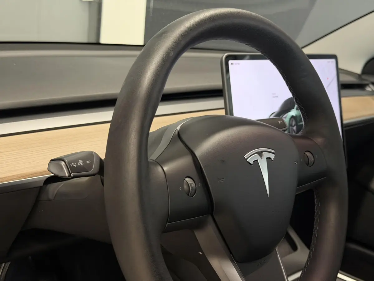 Long Range AWD 75 kWh | Trekhaak | SOH 95% |