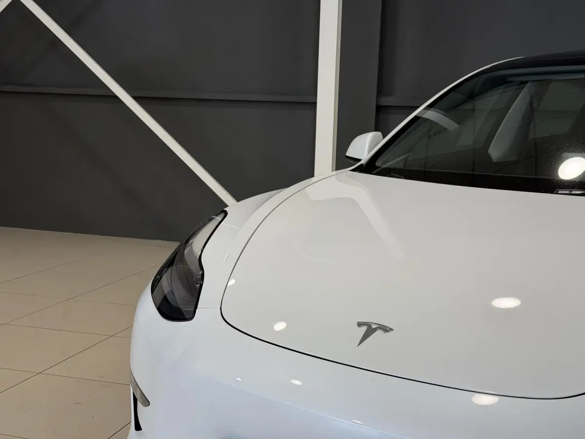 Long Range AWD 75 kWh | Trekhaak | SOH 95% |