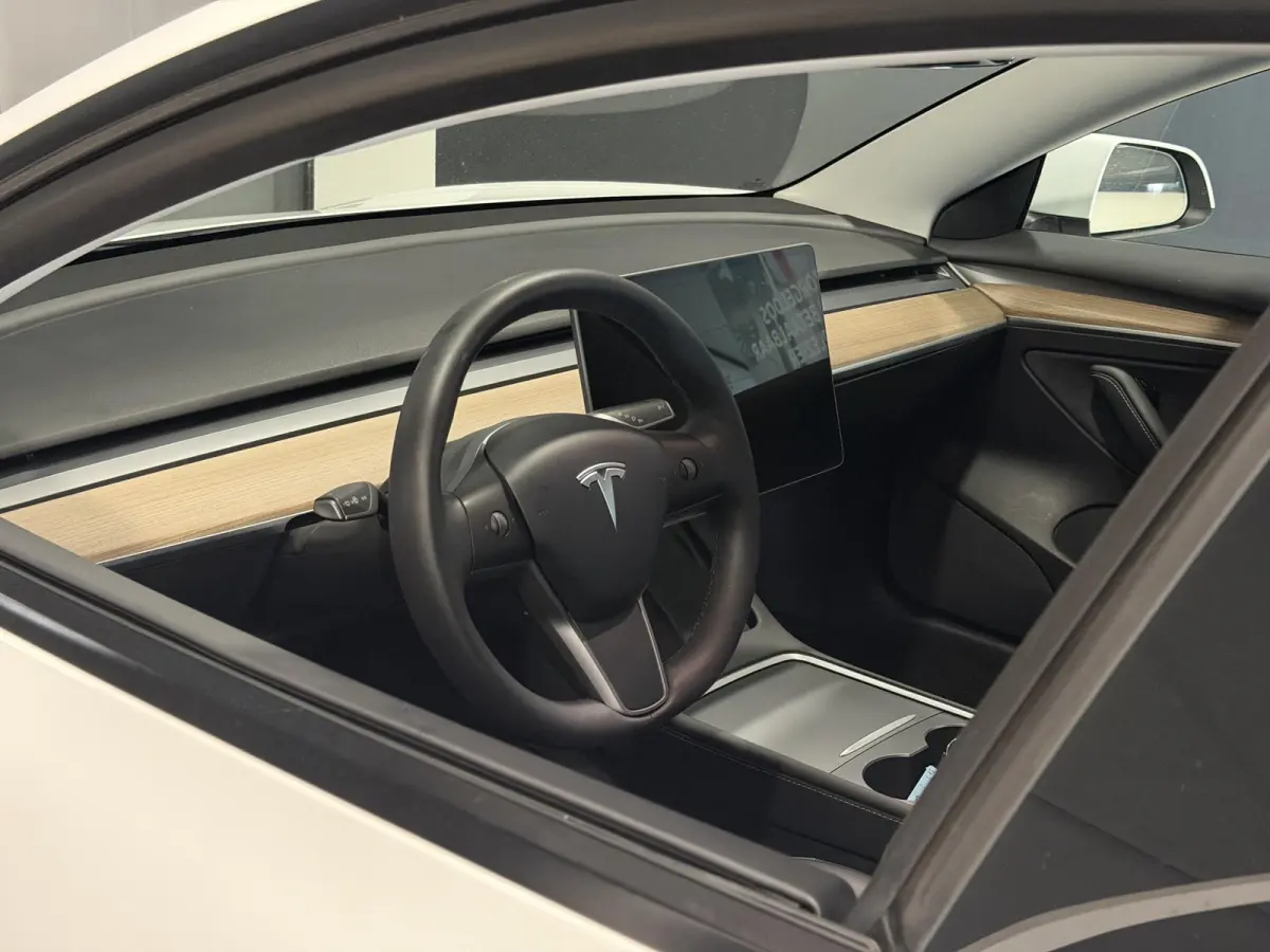 Long Range AWD 75 kWh | Trekhaak | SOH 95% |