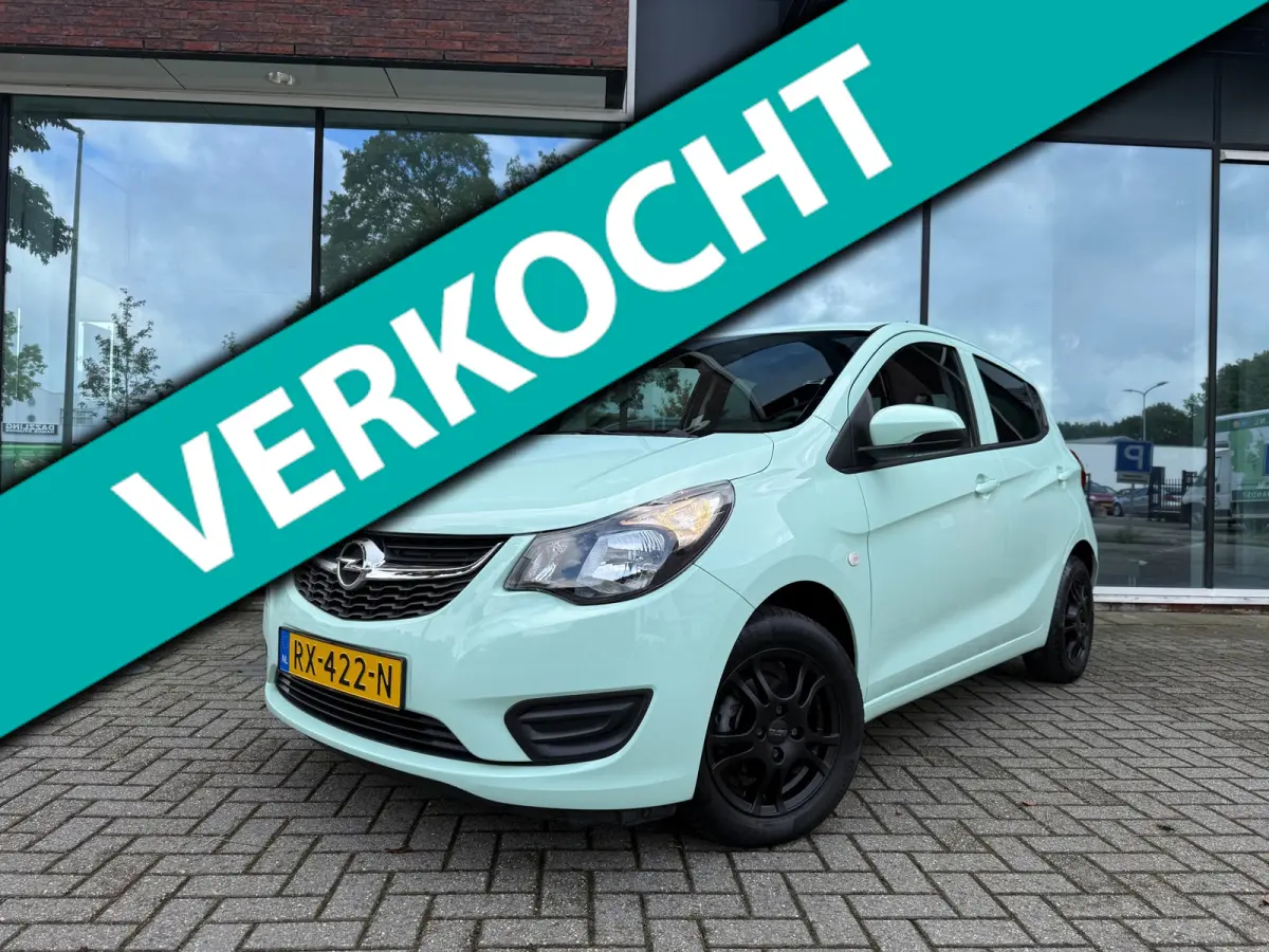 1.0 ecoFLEX Edition - Automaat - Media - Airco - Org.NL