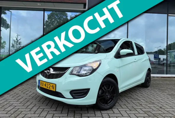 1.0 ecoFLEX Edition - Automaat - Media - Airco - Org.NL